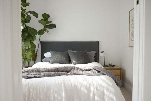 Jackson Queen/King Headboard &ndash; Mohair Charcoal