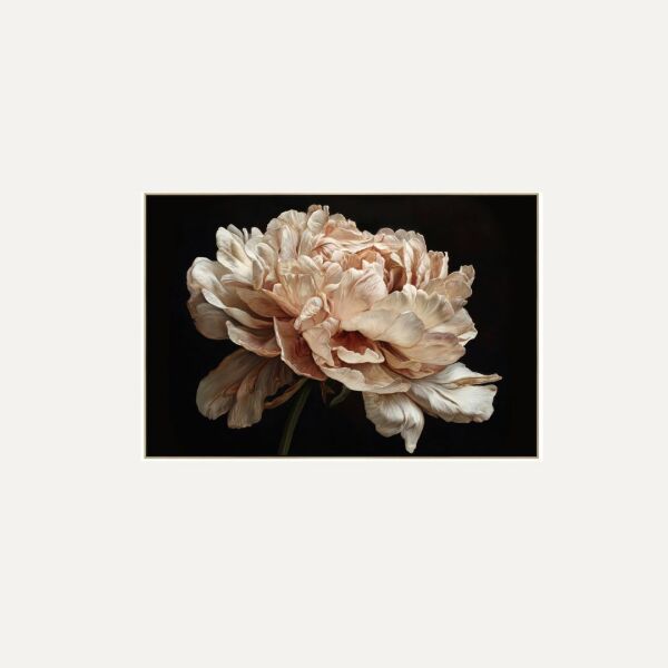 Flower Bomb V1 Wall Art