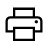 Print Icon